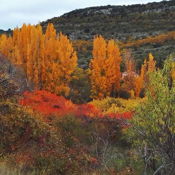 Fall Foliage Tours in Cuenca Spain