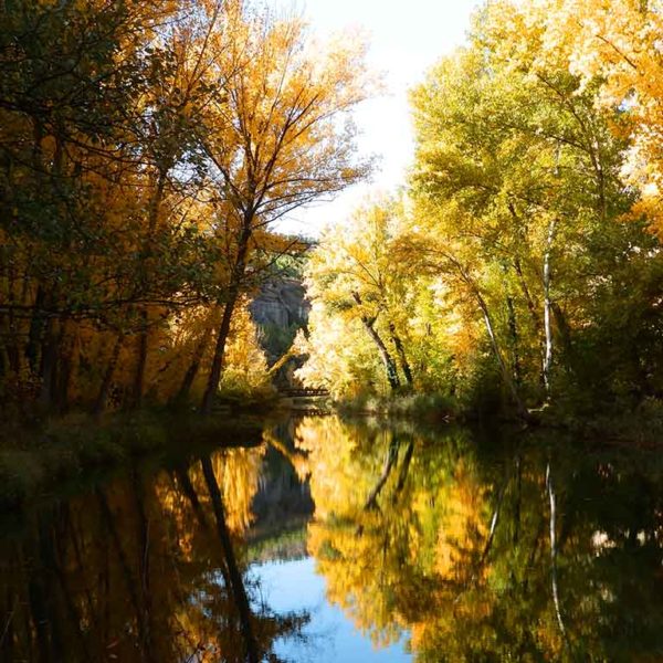 Jucar River reflects